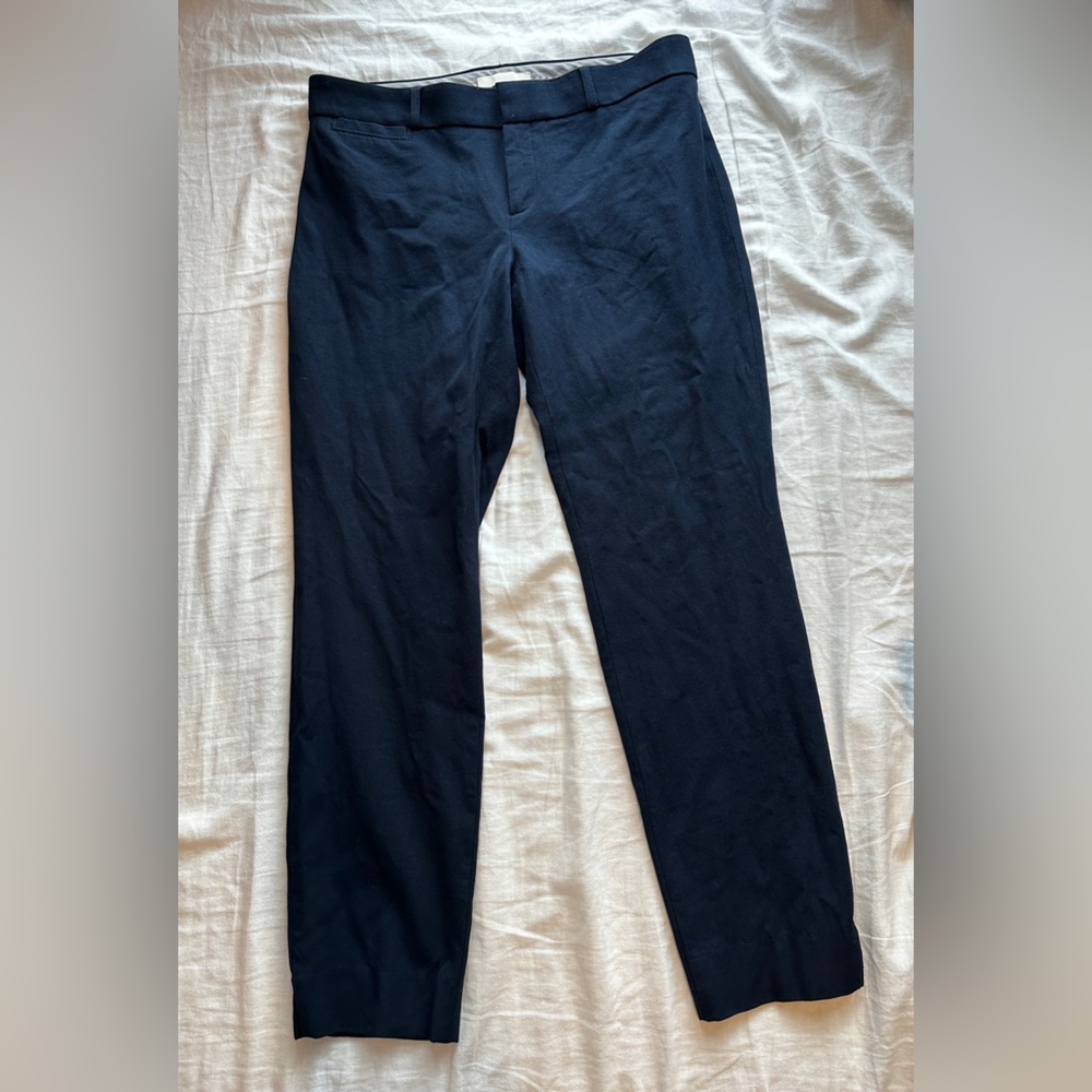 Banana Republic Straight Sloan Pant